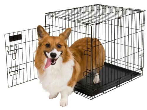 aspen-petfolding-cage