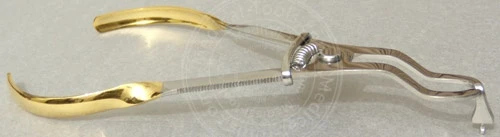 ivory-rubber-dam-forceps-l