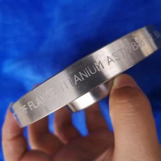 Brida de acero inoxidable forjado personalizado Montaje de tubería Brida de titanio